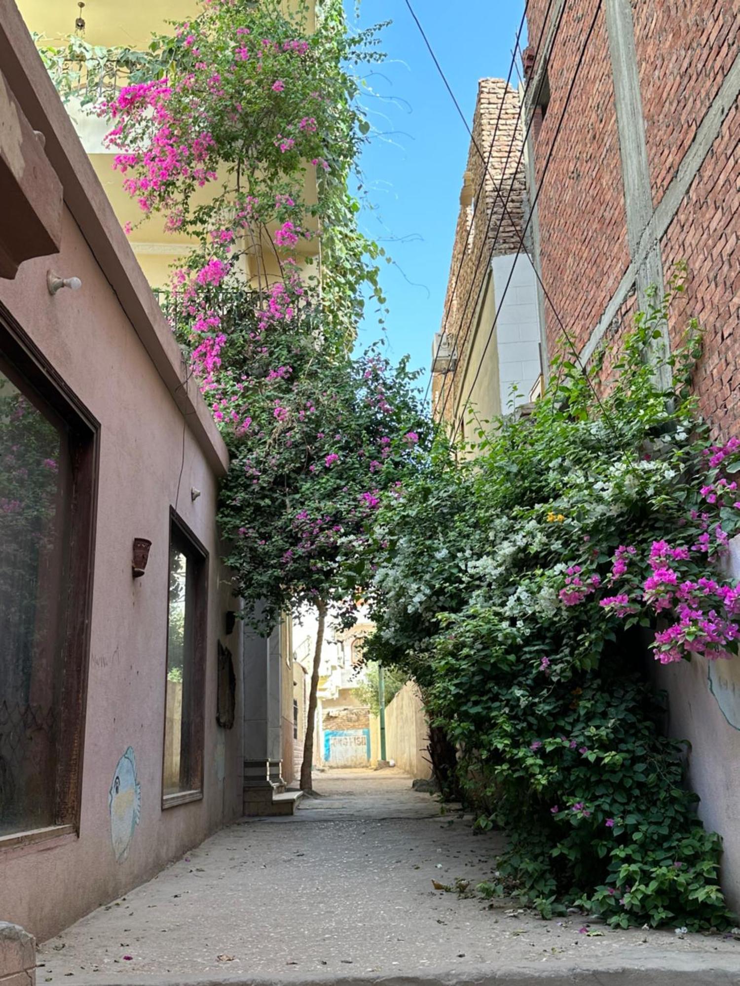 Harmony House Luxor Hotel Bagian luar foto